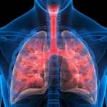 सब्ज़ियों से बनेगी अब वैक्सीन: भविष्य की हेल्थ क्रांति